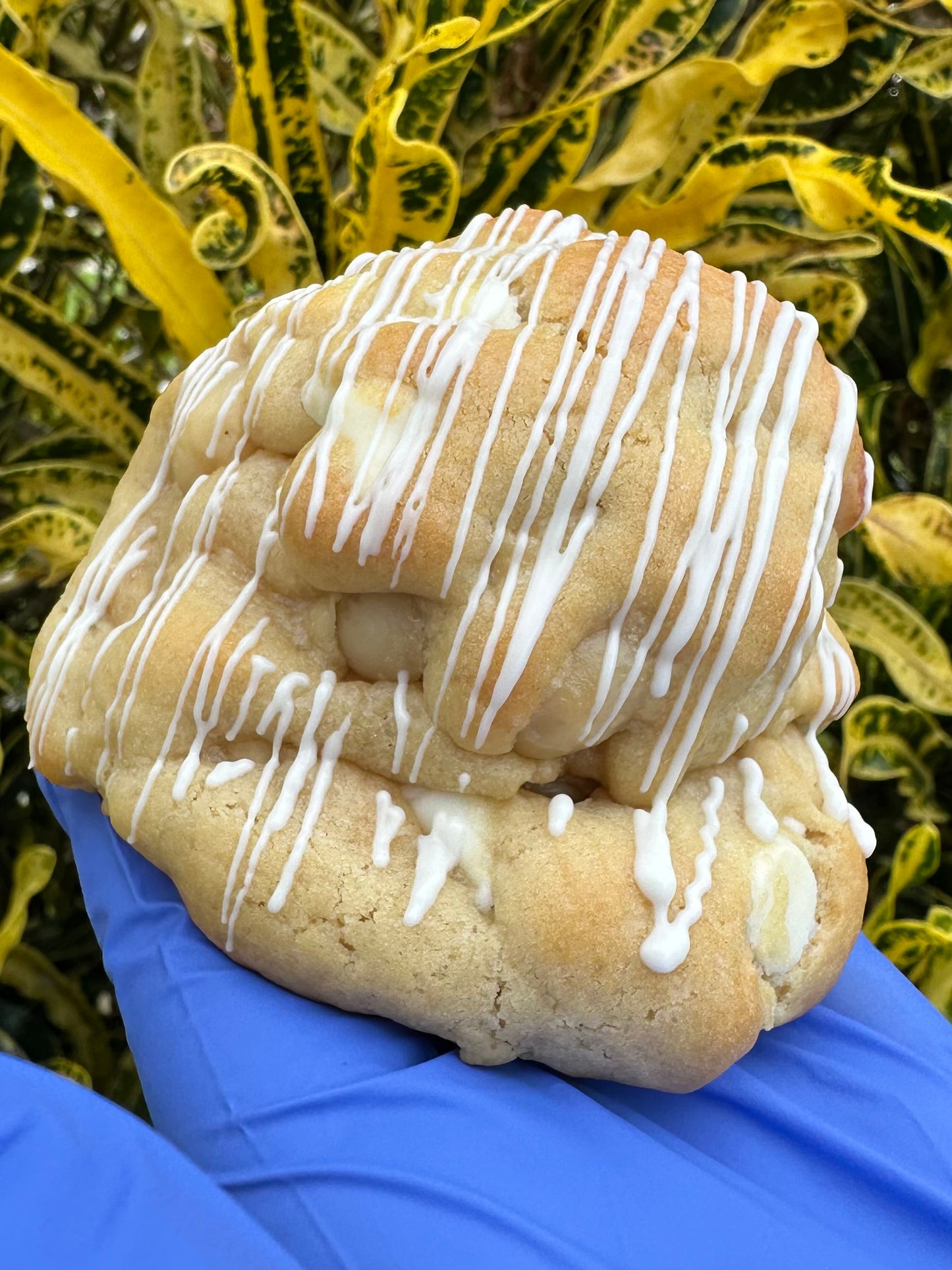 White Chocolate Macadamia