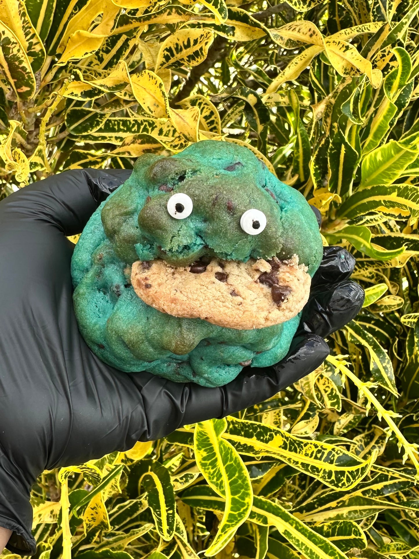 Blue Monster