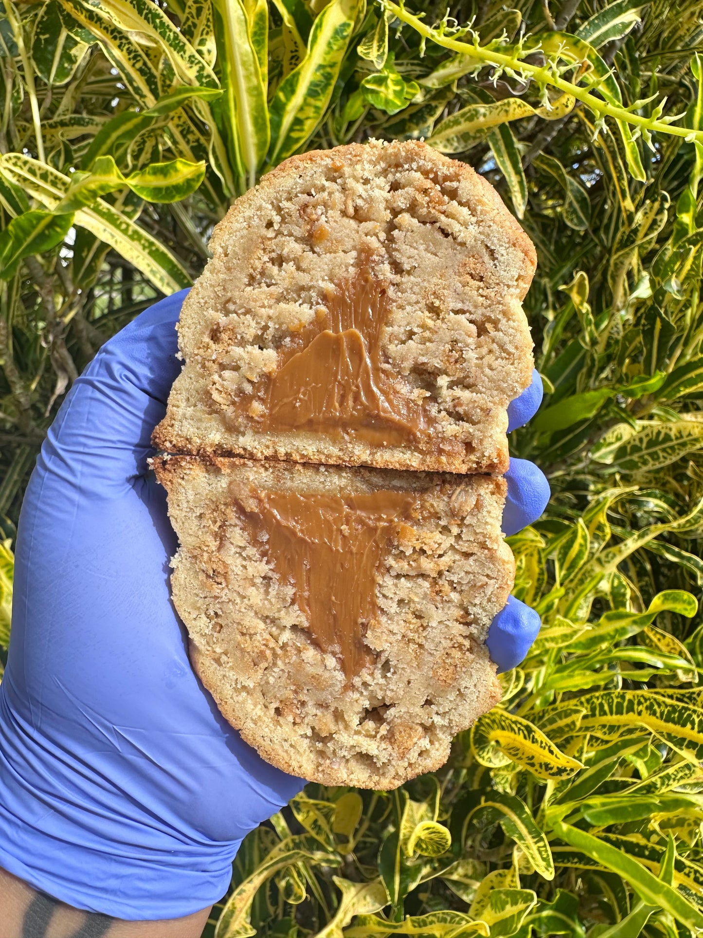 Churro Dulce de Leche