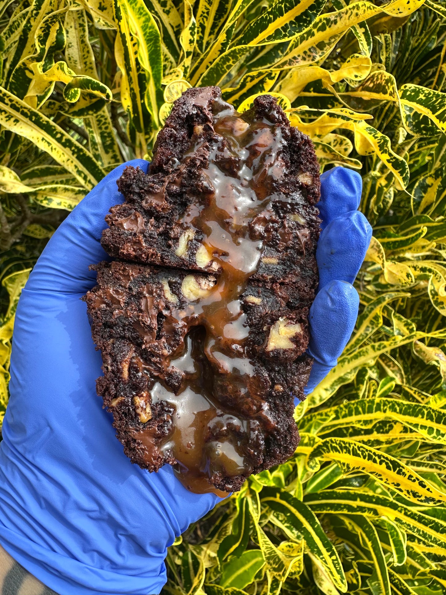 Choco Salty Praline