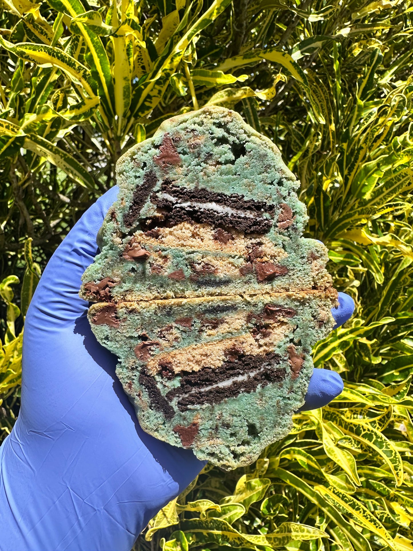 Blue Monster
