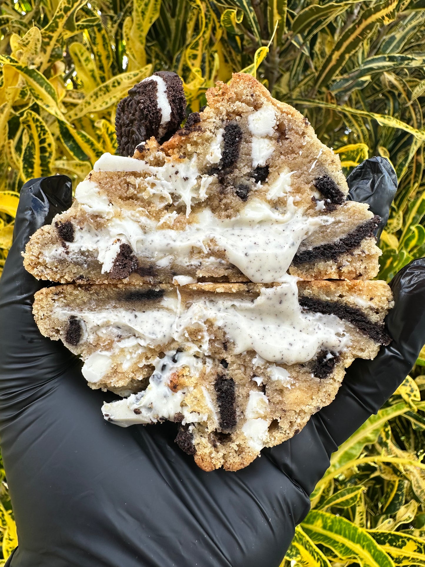 6 Cookie Mystery Box