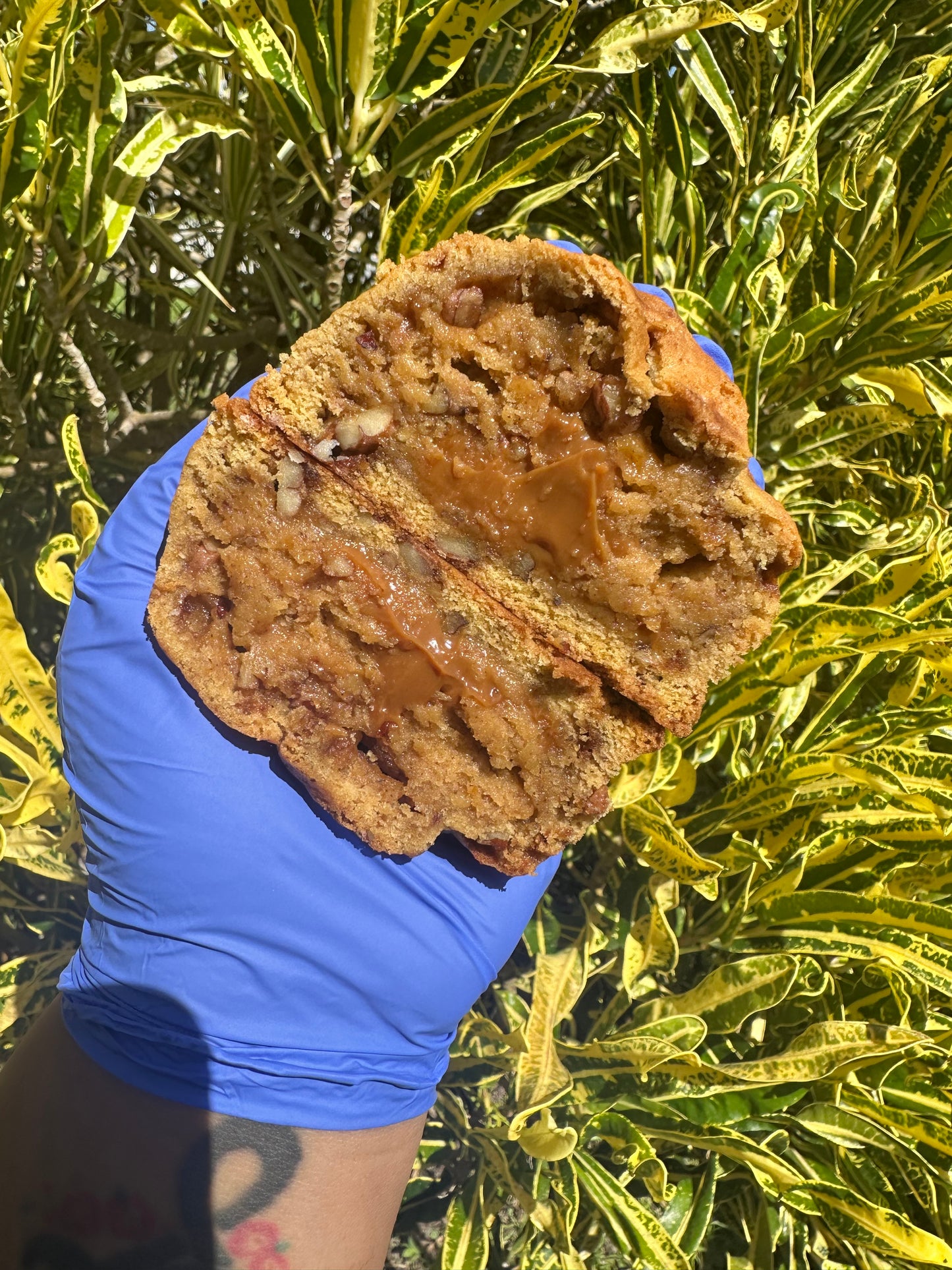 Pecans Pumpkin Spice