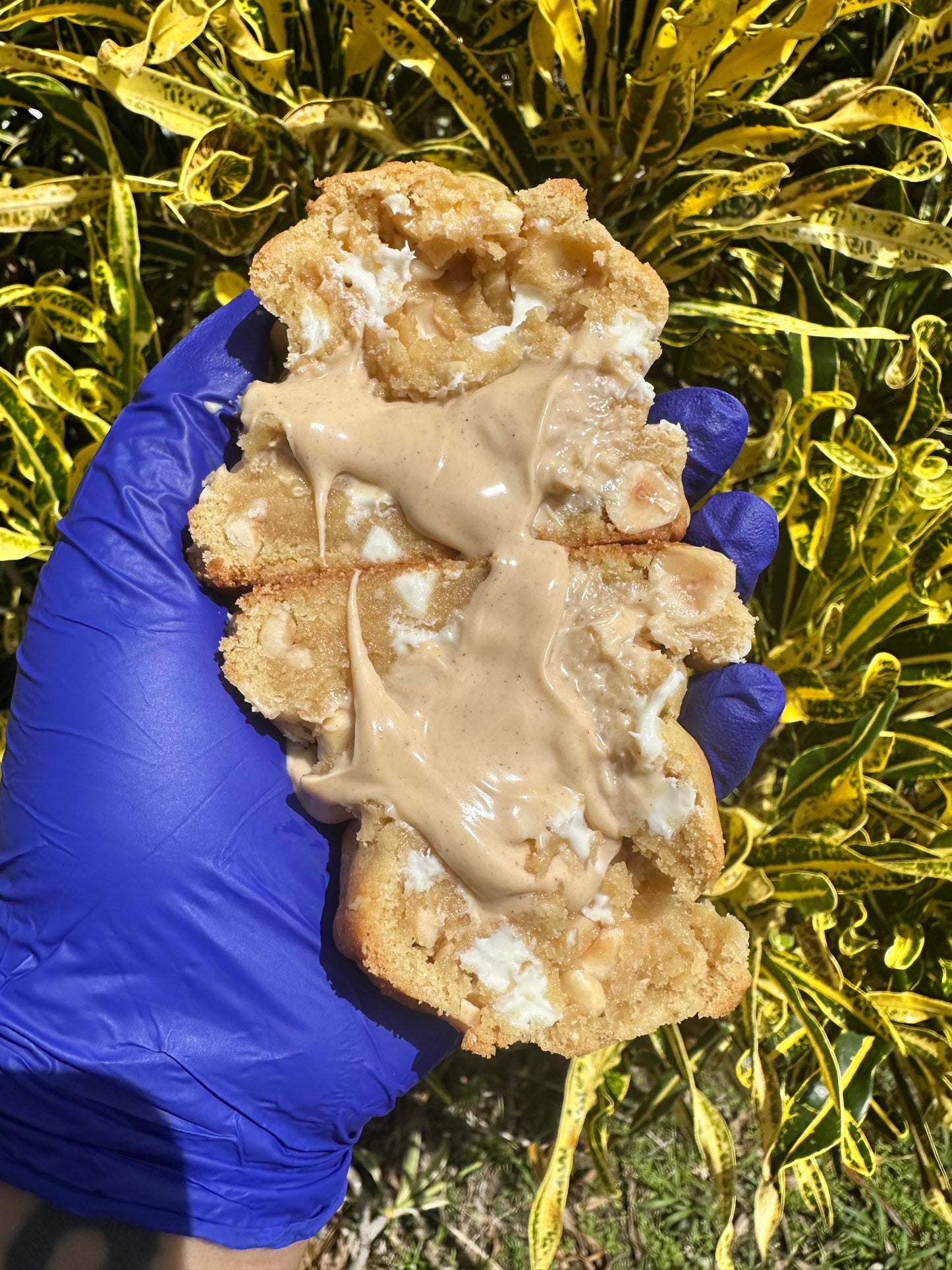 6 Cookie Mystery Box