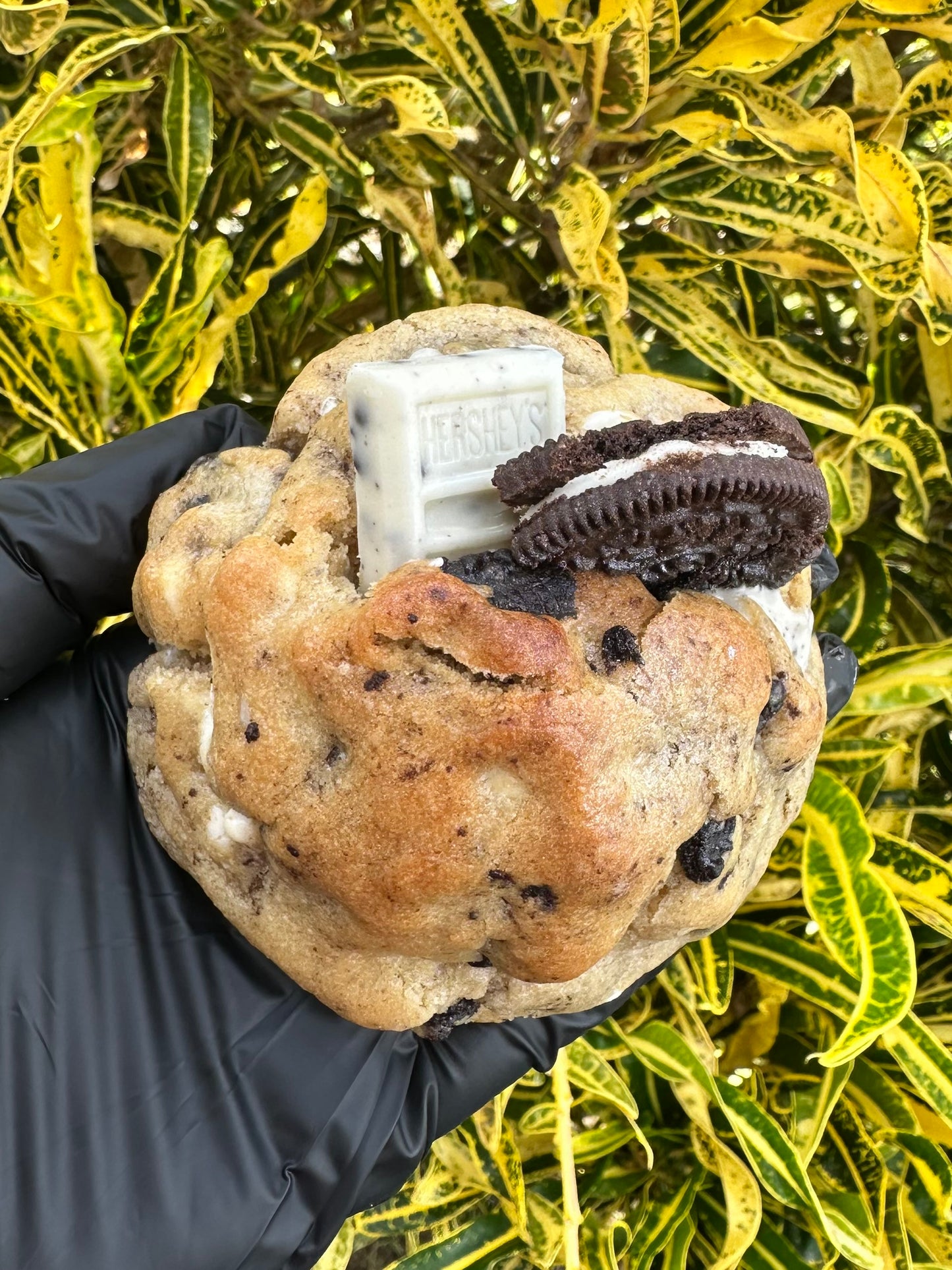 Cookies N' Creme