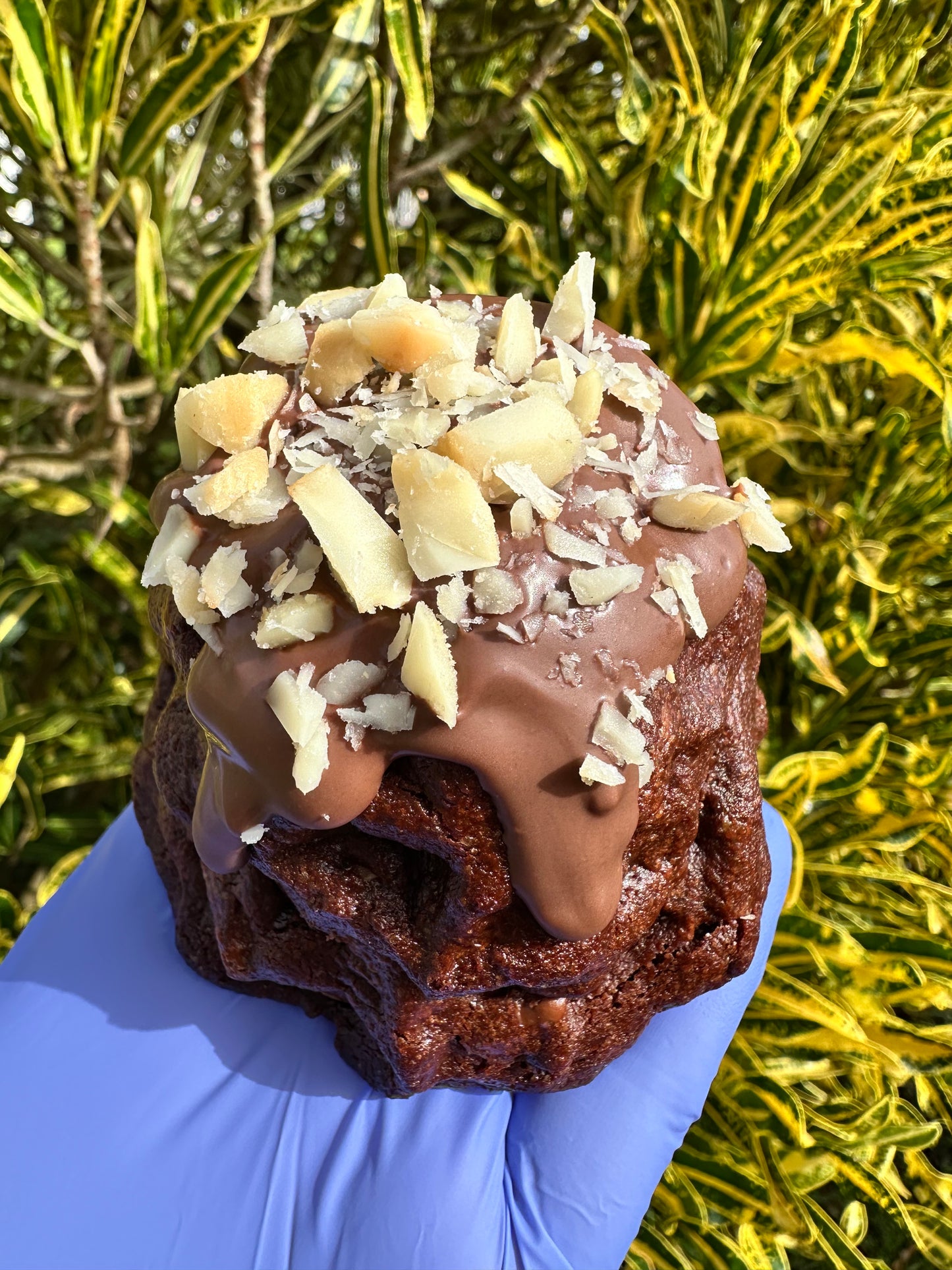 Dolce Choco
