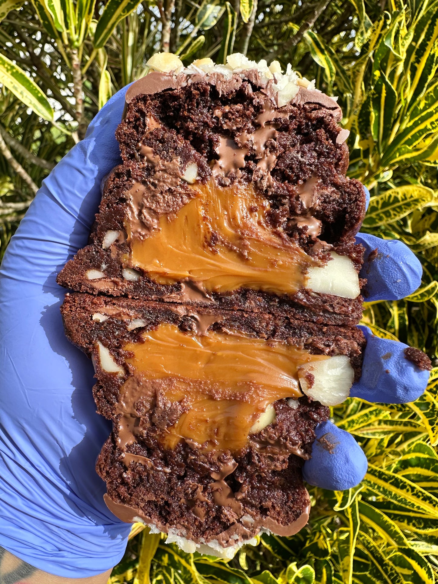 Dolce Choco
