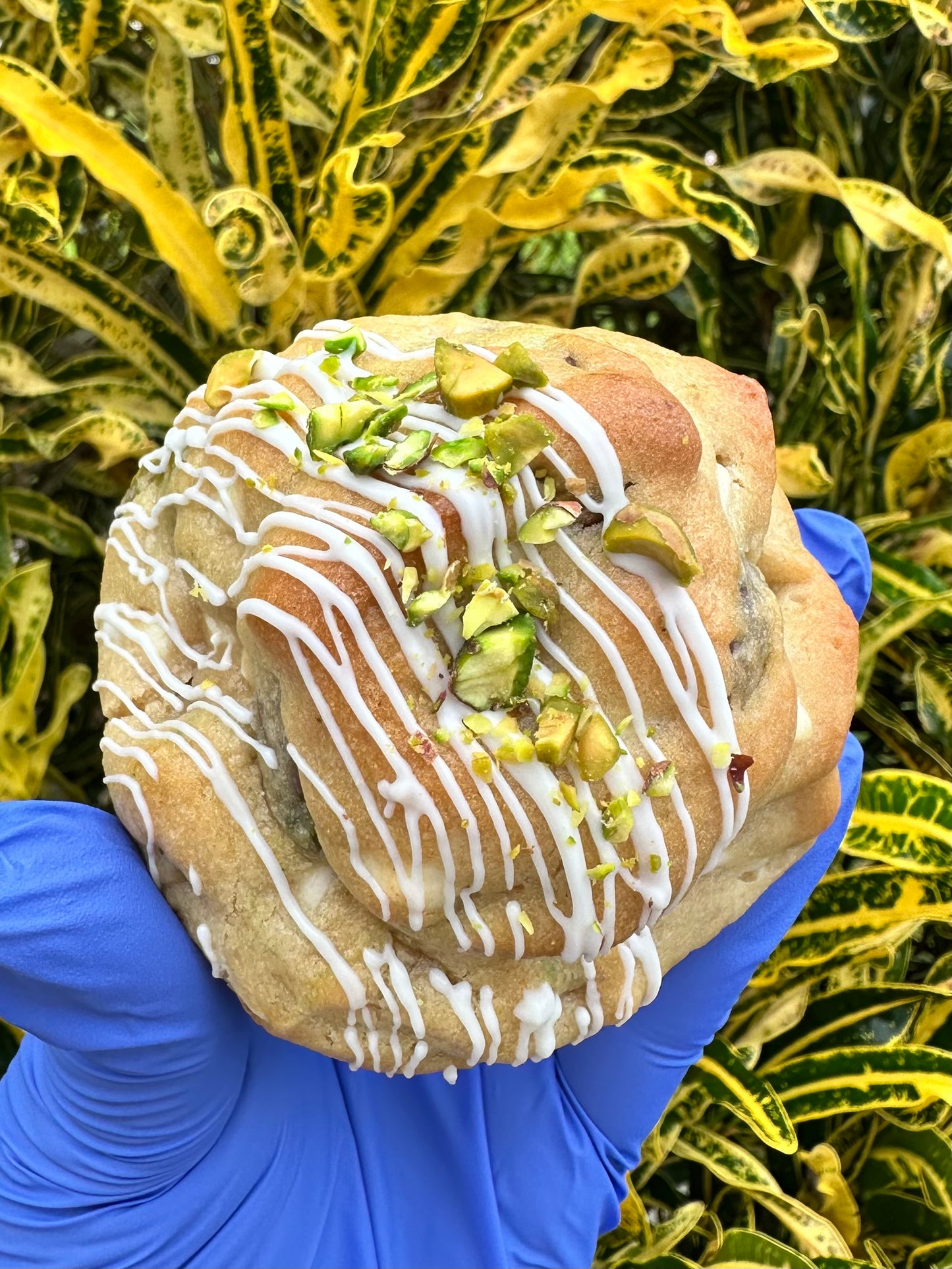 White Pistachios