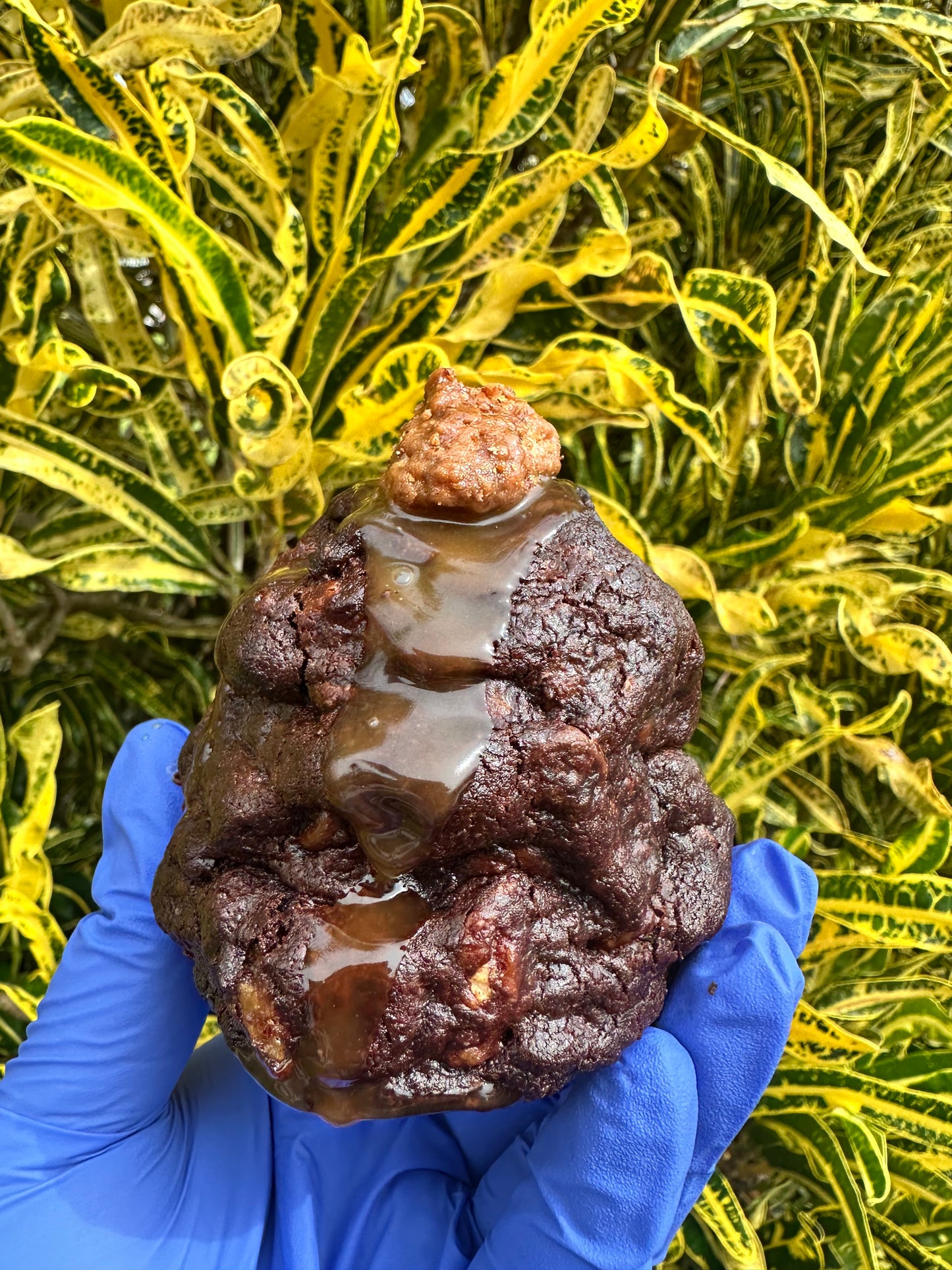 Choco Salty Praline