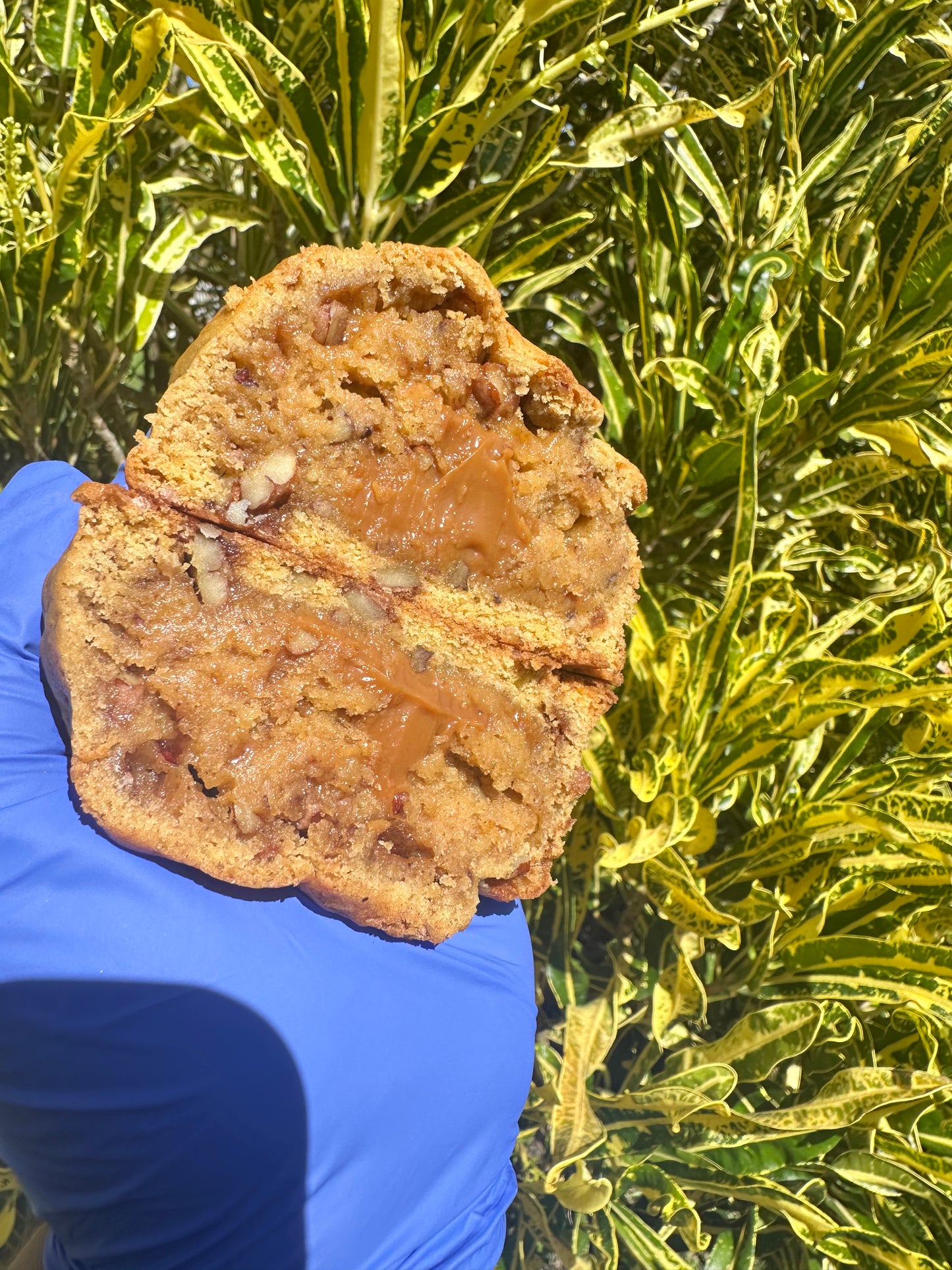 Pecans Pumpkin Spice